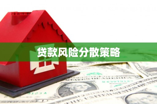惠农贷款风险分散策略