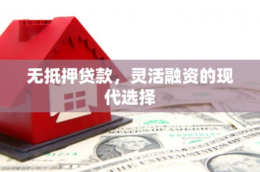 惠农无抵押贷款，灵活融资的现代选择