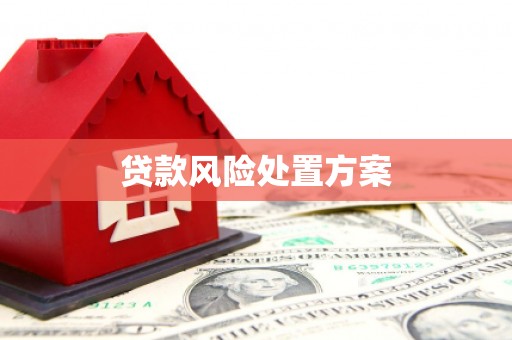 惠农贷款风险处置方案
