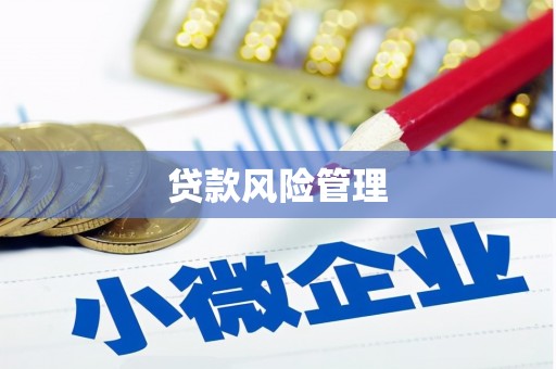 惠农贷款风险管理
