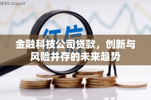 惠农金融科技公司贷款，创新与风险并存的未来趋势