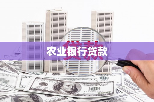 惠农农业银行贷款