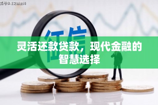 惠农灵活还款贷款，现代金融的智慧选择
