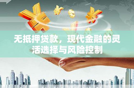 惠农无抵押贷款，现代金融的灵活选择与风险控制