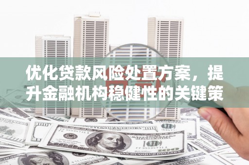 惠农优化贷款风险处置方案，提升金融机构稳健性的关键策略