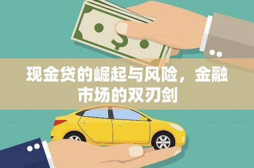 惠农现金贷的崛起与风险，金融市场的双刃剑