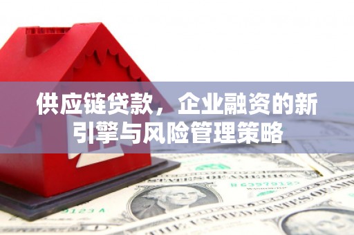 惠农供应链贷款，企业融资的新引擎与风险管理策略
