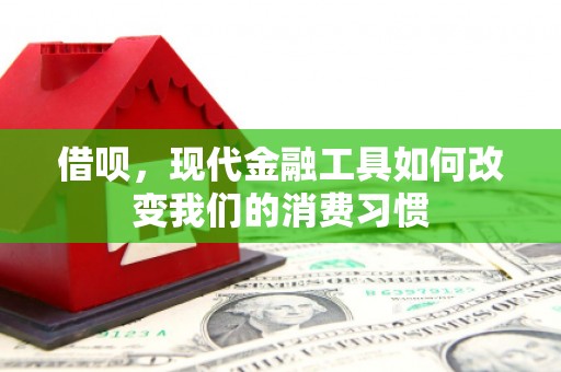 惠农借呗，现代金融工具如何改变我们的消费习惯