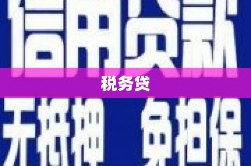 惠农税务贷