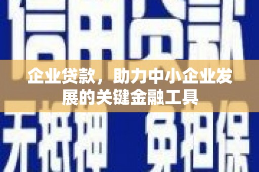 惠农企业贷款，助力中小企业发展的关键金融工具