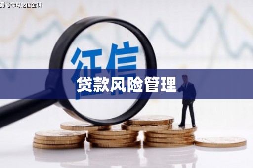 惠农贷款风险管理