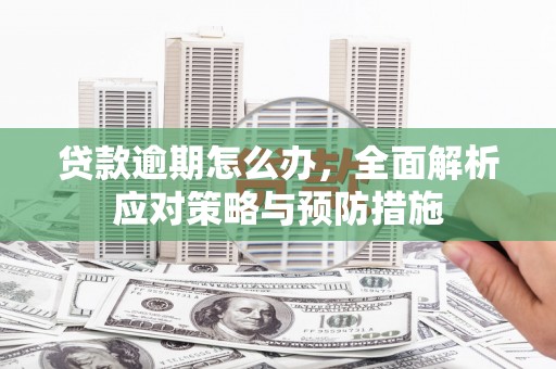 惠农贷款逾期怎么办，全面解析应对策略与预防措施