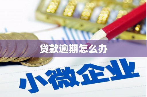 惠农贷款逾期怎么办