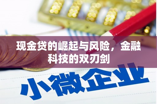 惠农现金贷的崛起与风险，金融科技的双刃剑