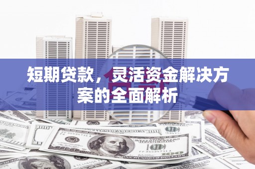 惠农短期贷款，灵活资金解决方案的全面解析