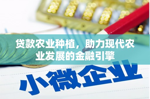 惠农贷款农业种植，助力现代农业发展的金融引擎