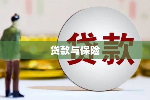 惠农贷款与保险