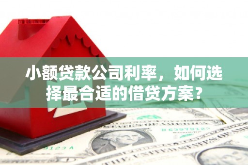 惠农小额贷款公司利率，如何选择最合适的借贷方案？