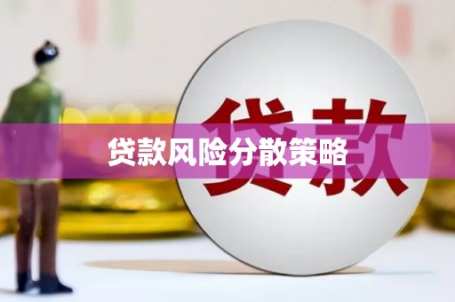 惠农贷款风险分散策略