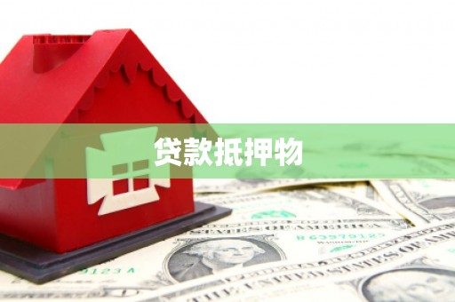 惠农贷款抵押物