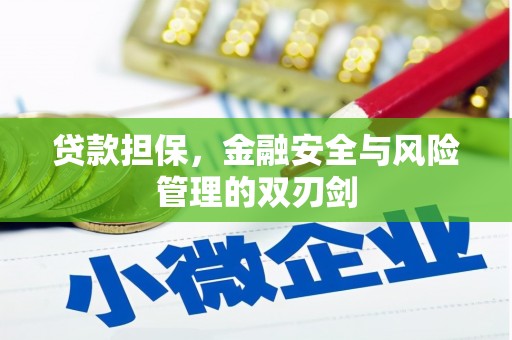 惠农贷款担保，金融安全与风险管理的双刃剑