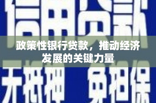 惠农政策性银行贷款，推动经济发展的关键力量
