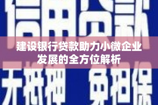 惠农建设银行贷款助力小微企业发展的全方位解析