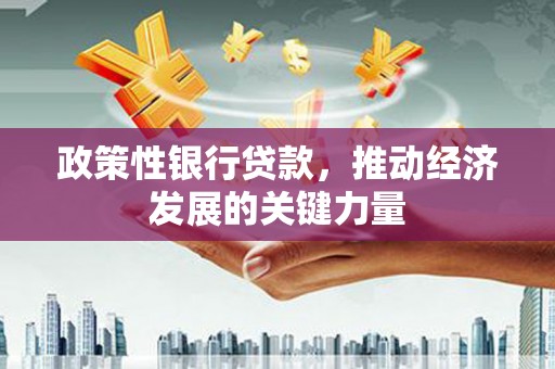 惠农政策性银行贷款，推动经济发展的关键力量