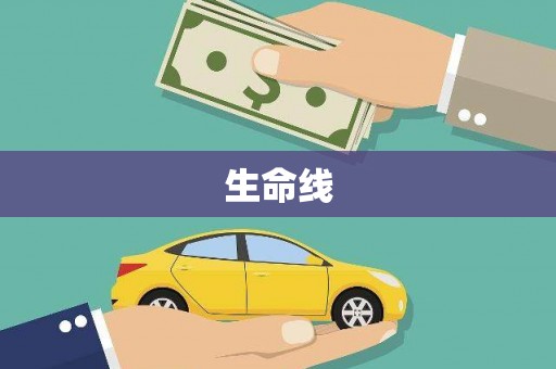 惠农生命线