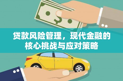 惠农贷款风险管理，现代金融的核心挑战与应对策略