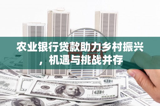 惠农农业银行贷款助力乡村振兴，机遇与挑战并存
