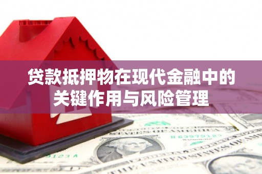惠农贷款抵押物在现代金融中的关键作用与风险管理
