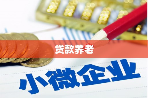 惠农贷款养老