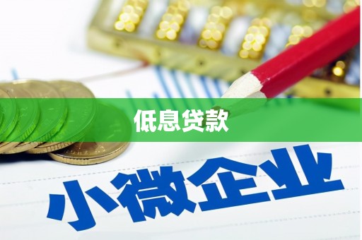 惠农低息贷款