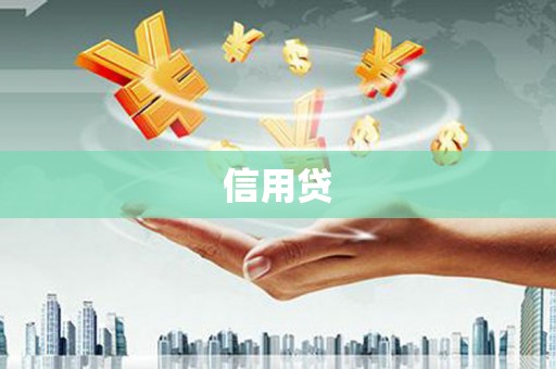 惠农信用贷