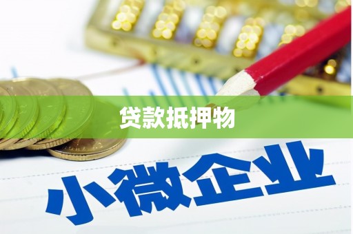 惠农贷款抵押物