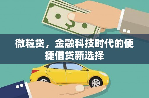 惠农微粒贷，金融科技时代的便捷借贷新选择