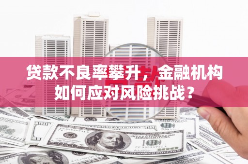 惠农贷款不良率攀升，金融机构如何应对风险挑战？