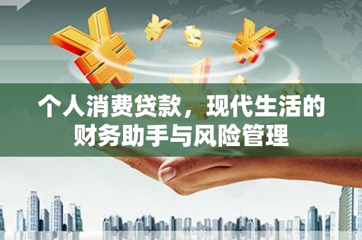 惠农个人消费贷款，现代生活的财务助手与风险管理