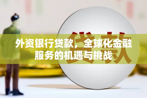 惠农外资银行贷款，全球化金融服务的机遇与挑战