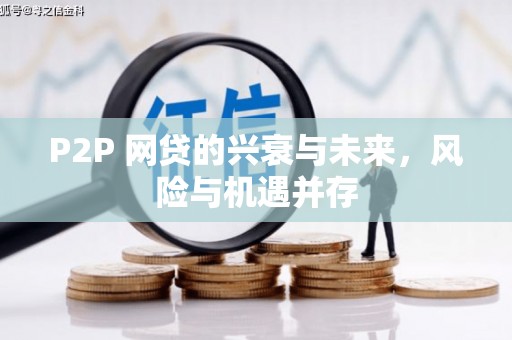 惠农P2P 网贷的兴衰与未来，风险与机遇并存