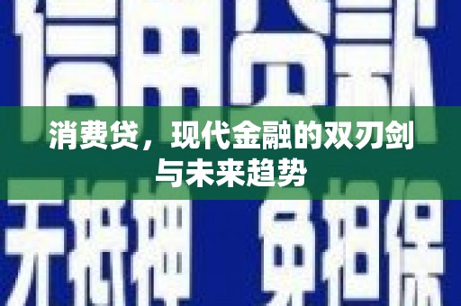惠农消费贷，现代金融的双刃剑与未来趋势