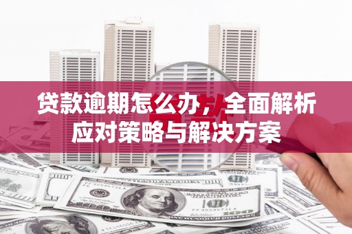惠农贷款逾期怎么办，全面解析应对策略与解决方案