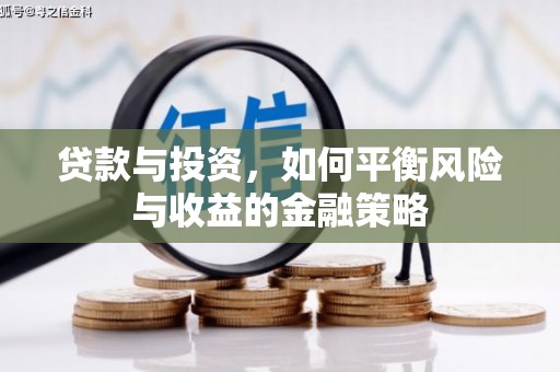 惠农贷款与投资，如何平衡风险与收益的金融策略