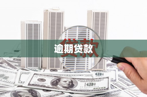 惠农逾期贷款